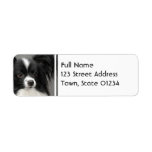 Papillon Dog Mailing Labels