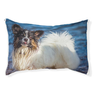 Papillon Dog. Pet Bed