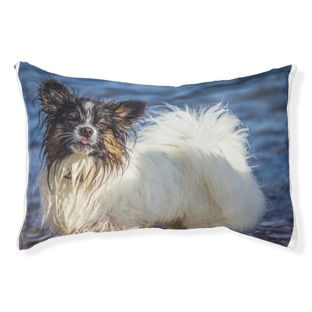 Papillon Dog. Pet Bed (Front)