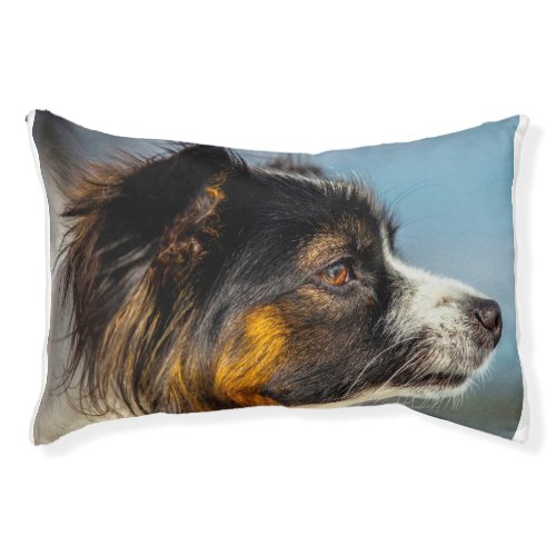 Papillon Dog Pet Bed