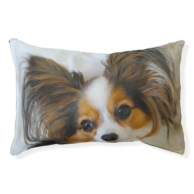 Papillon Dog. Pet Bed (Front)