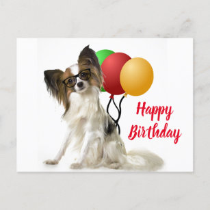 Papillon Dog Postcard with Birthday Greeting