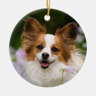 Papillon Dog Romantic Cute Portrait Ceramic Ornament