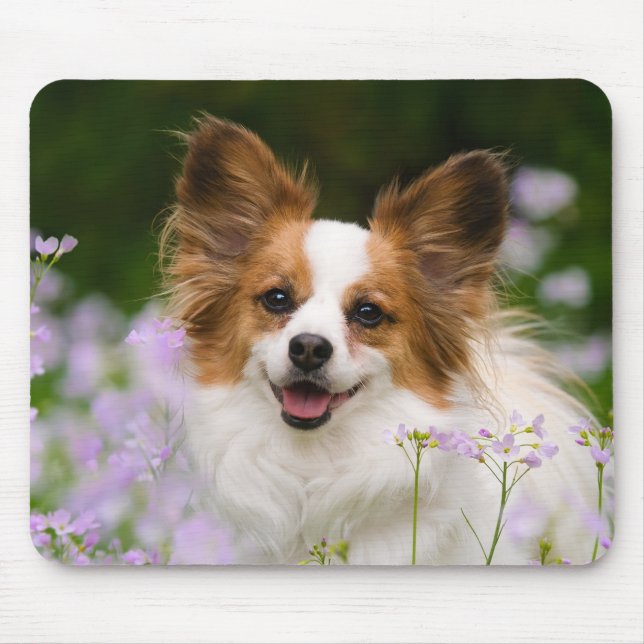 Papillon Dog Romantic Portrait Mouse Pad (Front)