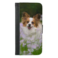 Funny Graphic print Cute Papillon Toy Spaniel Dog Photography USB