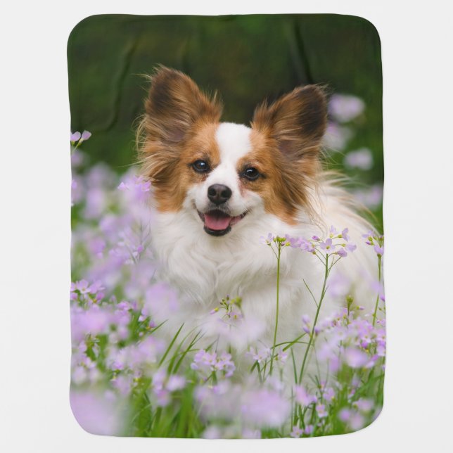 Papillon Dog Romantic Portrait, soft baby Baby Blanket (Front)