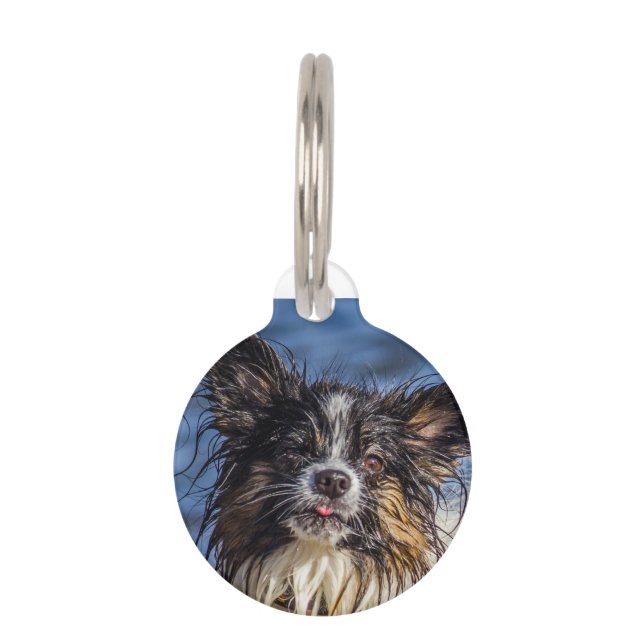 Papillon Dog Tags. Pet ID Tag (Front)
