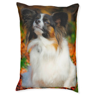 Papillon Dog's Bed. Pet Bed