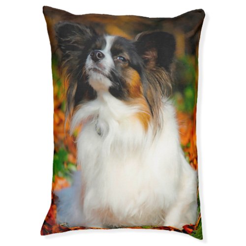 Papillon Dogs Bed Pet Bed