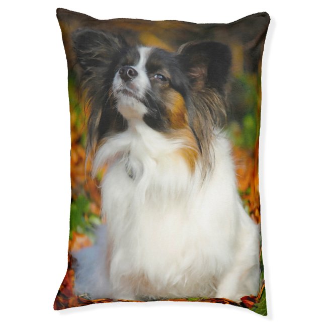 Papillon Dog's Bed. Pet Bed (Front Vertical)