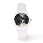 Papillon Dogs Watch