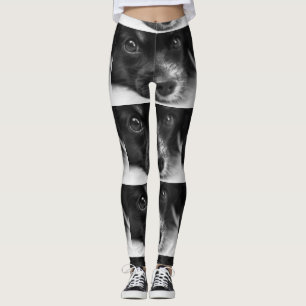 papillon face leggings