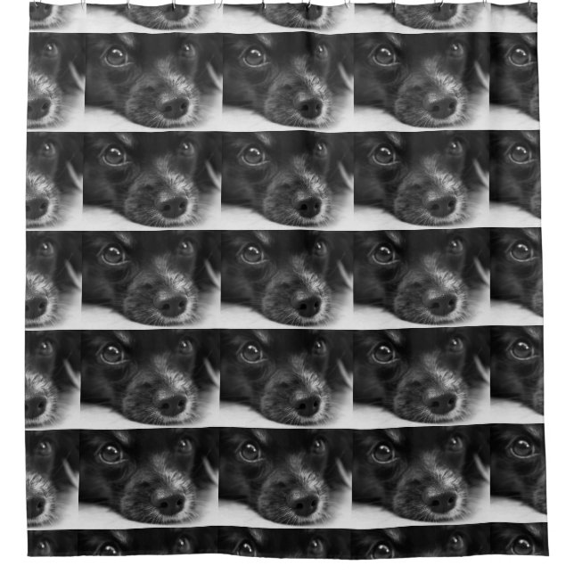papillon face shower curtain (Front)