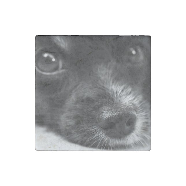 papillon face stone magnet (Front)