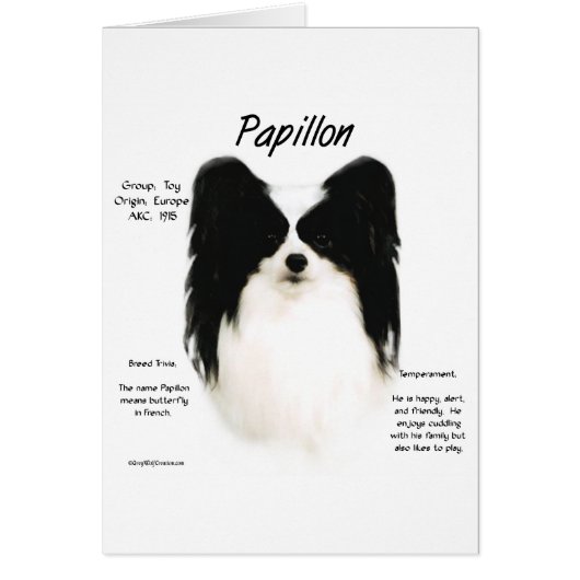Papillon History Design Cards (Front)