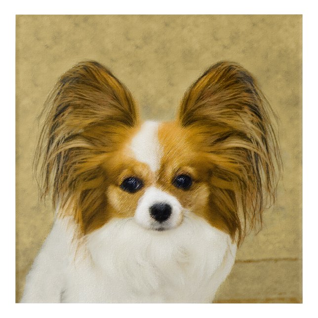 Papillon (Hound Tri) Painting - Original Dog Art (Front)