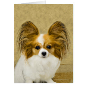 Papillon (Hound Tri) Painting - Original Dog Art Card