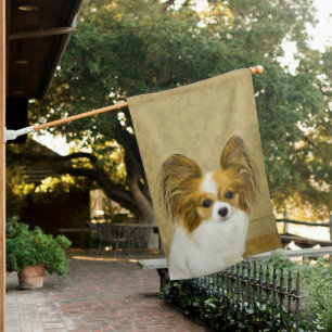 Papillon (Hound Tri) Painting - Original Dog Art House Flag