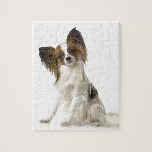 Papillon Jigsaw Puzzle