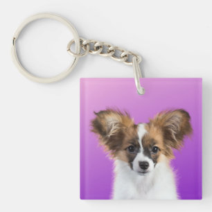 Papillon keychain
