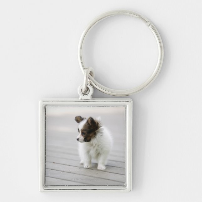 Papillon Keychain (Front)