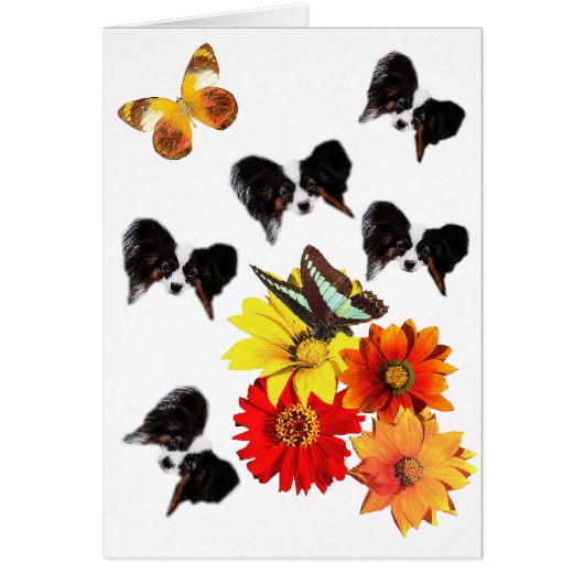 Papillon Lovers Gifts (Front)