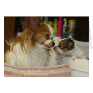 Papillon Mom and Baby Cards