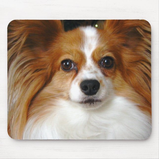 Papillon Mouse Pad (Front)