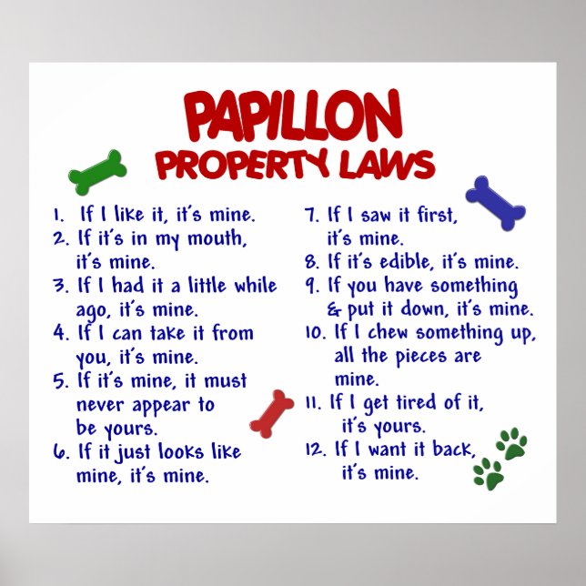 PAPILLON PL2 POSTER (Front)