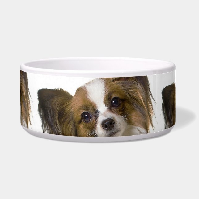papillon.png bowl (Front)