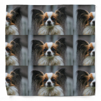 Papillon Puppy Dog Bandana