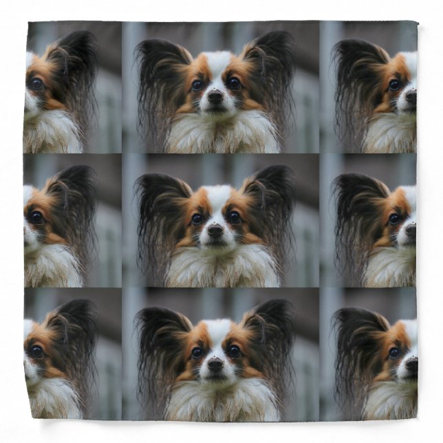Papillon Puppy Dog Bandana (Front)