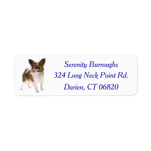 Papillon Puppy Dog Blue Label (Front)