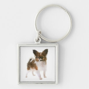 Papillon Puppy Dog keychain