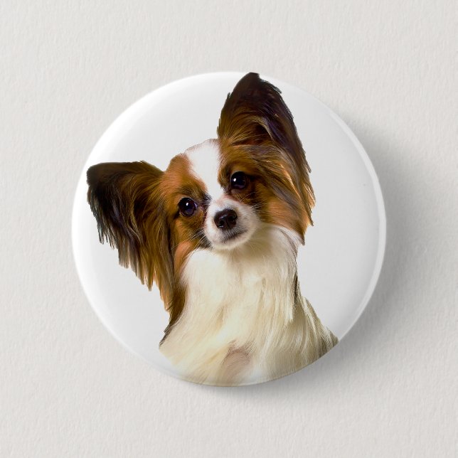 Papillon puppy Isolated on editable Background Pil Pinback Button (Front)
