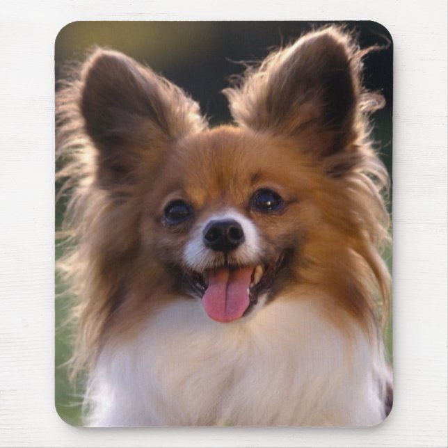 Papillon Puppy Mom Dog Lover Fur Mama Puppies Mouse Pad (Front)