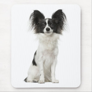 Papillon Puppy Mom Dog Lover Puppies Fur Mama Mouse Pad