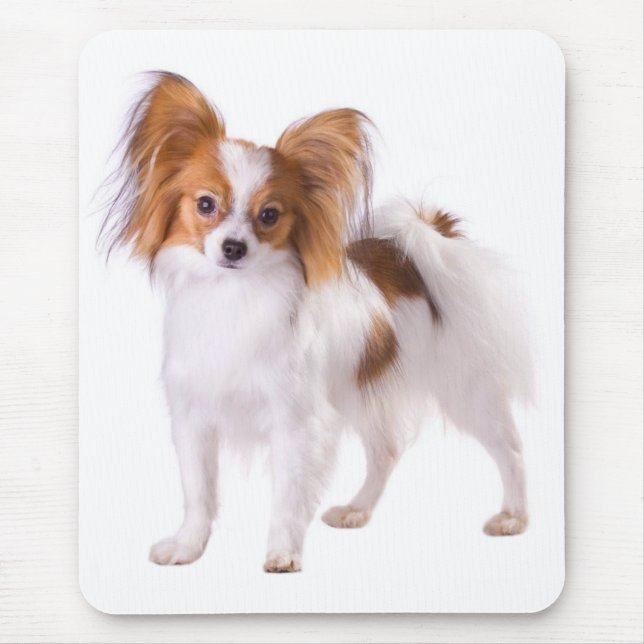 Papillon Puppy Mom Dog Lover  Puppies Fur Mama Mouse Pad (Front)