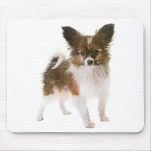 Papillon Puppy Mom Dog Lover  Puppies Fur Mama Mouse Pad