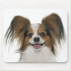 Papillon Puppy Mom Dog Lover Puppies Fur Mama Mouse Pad