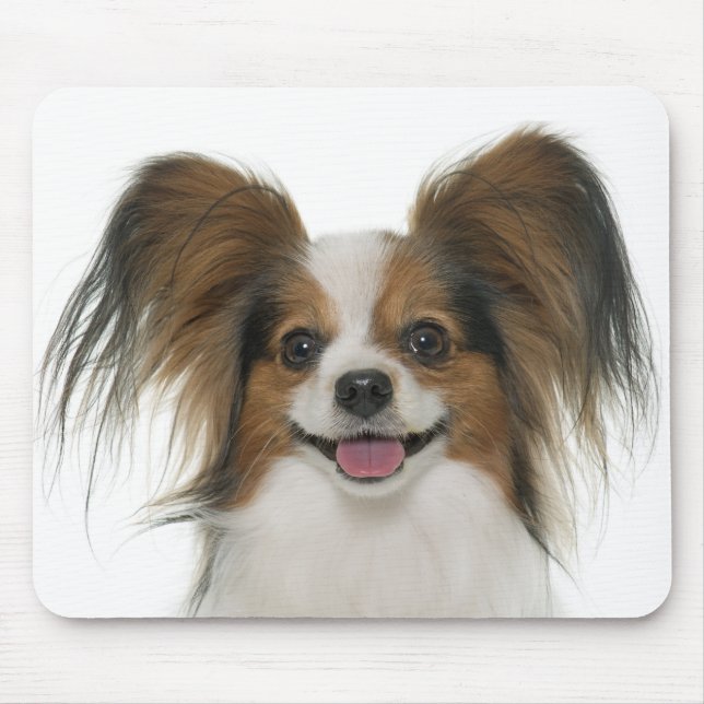 Papillon Puppy Mom Dog Lover  Puppies Fur Mama Mouse Pad (Front)