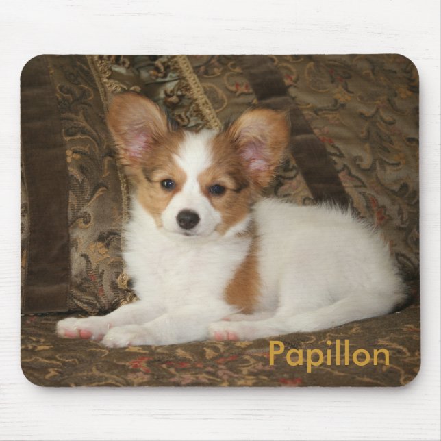 Papillon Puppy Mousepad (Front)