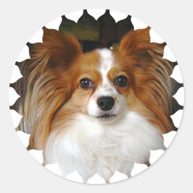 Papillon Stickers (Front)