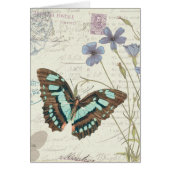 Papillon Tales (Front)