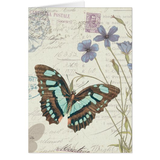 Papillon Tales (Front)