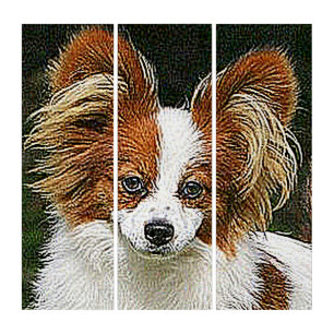 PAPILLON  TRIPTYCH