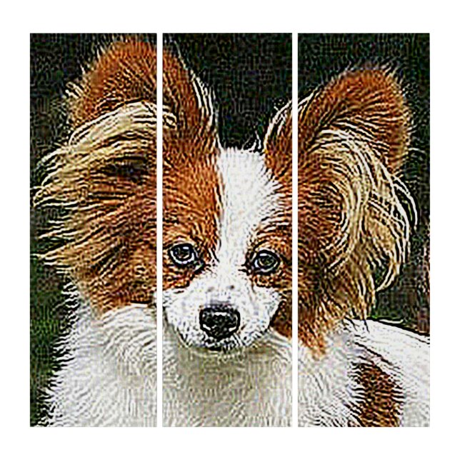 PAPILLON  TRIPTYCH (Front)