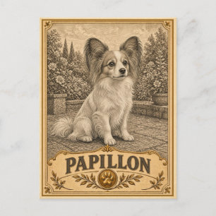 Papillon, Vintage Heritage Dog Postcard