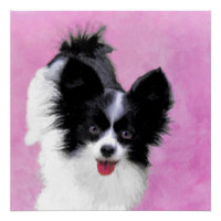 Papillon (White and Black) Painting - Dog Art