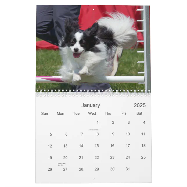 Papillons Agility Wall Calendar Zazzle